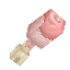 Raw Chicken