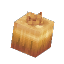 Onion